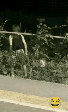 偷瓜也要量力而行，尤其是冬瓜！
无可奈何瓜落去，姑娘一起滚下来！