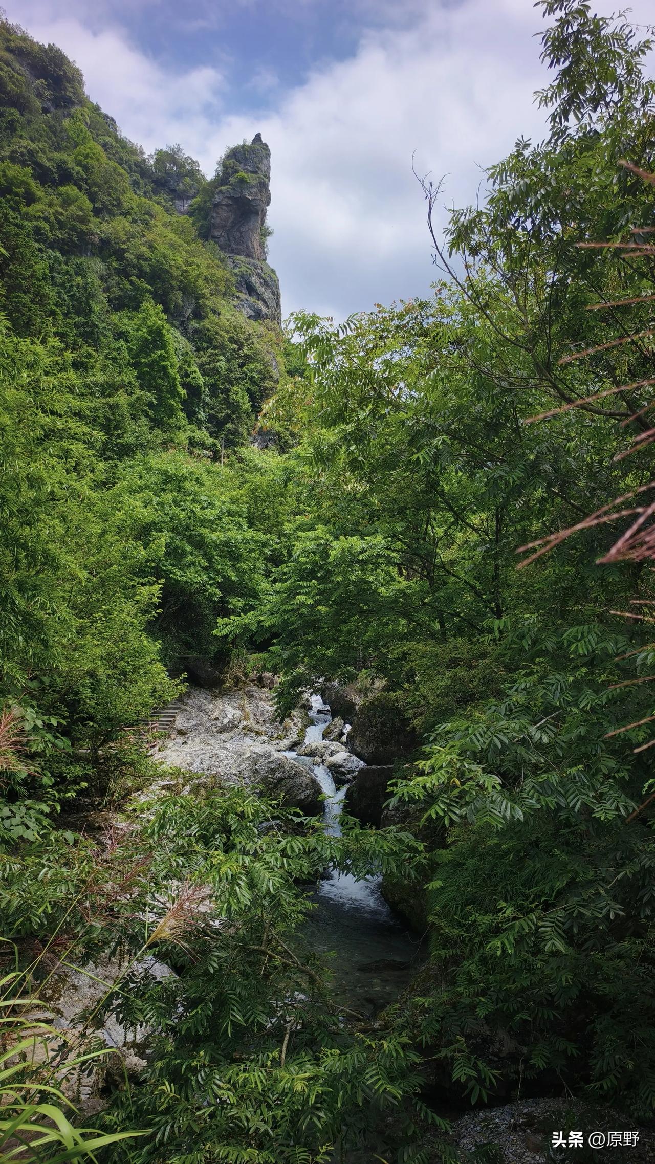 公园美丽景随拍仙寓山