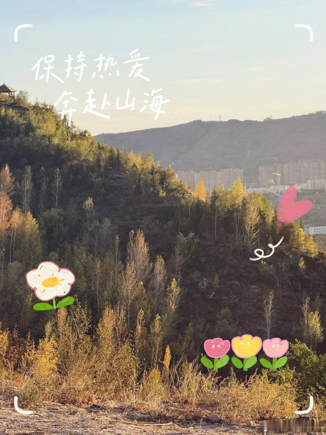 随手拍 ​​​