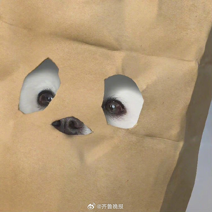 #早安# 用希望迎接太阳，用笑声相伴时光，用快乐涂满心房。新的一周，一起加油吧！