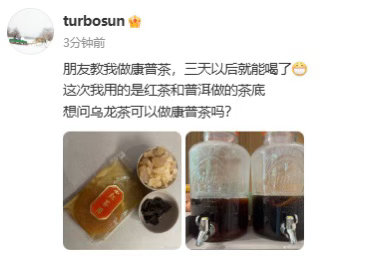 孙俪问到我的知识盲区了 孙俪晒自己做的康普茶，还问大家乌龙茶能做康普茶吗~好家伙