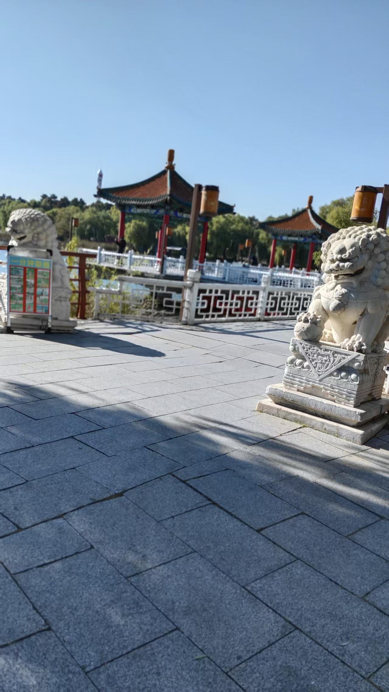 分享一张你拍的秋天的照片秋天结束了，冬天来到了，湖里的荷花不见了，欢快的野鸭在湖