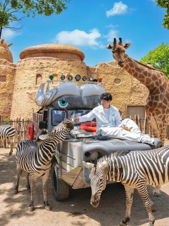 不是非洲🐘是属于河南人的疯狂动物城