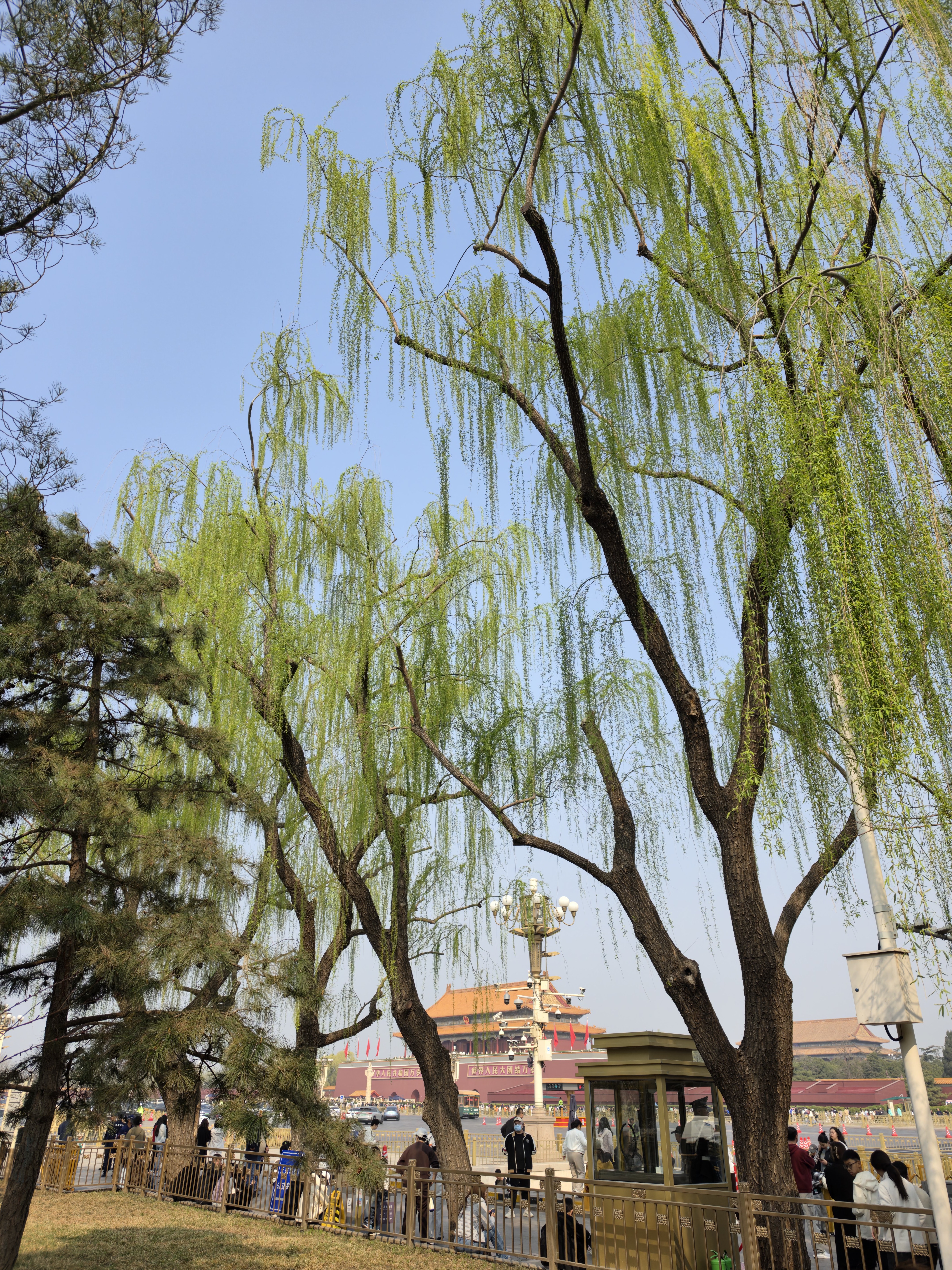 我爱北京天安门 