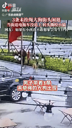 “是个狠人！”山东淄博，一男子带着3条没拴绳的大狗在路上闲逛，有名路人骑着电动车