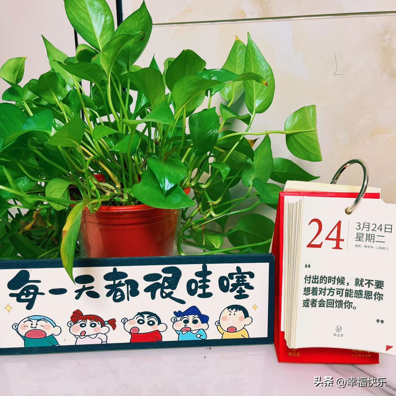 2026.03.24
周二，快乐