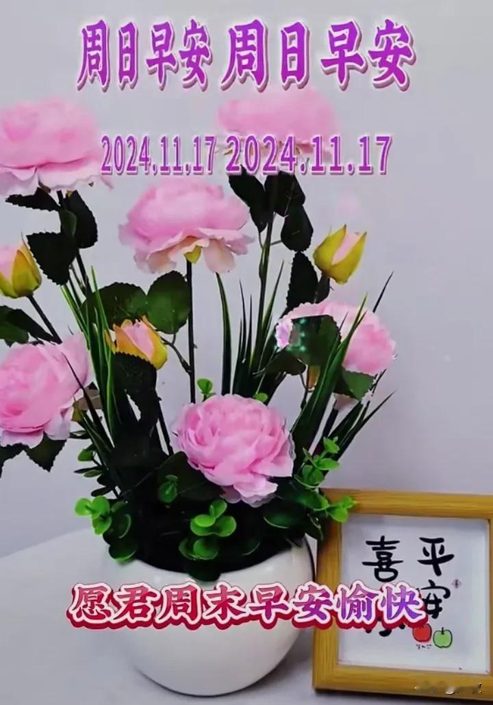 今天是11月17日，周日早安！
一日更比一日冷，一夜也比一夜长。
天寒别忘添衣裳