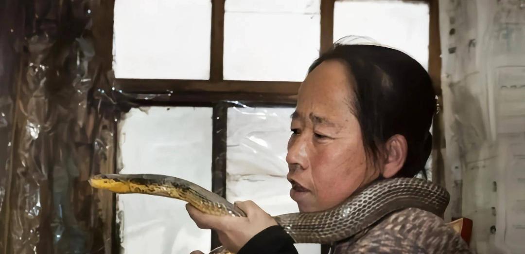 1995年，一名吉林农妇救了一条毒蛇，但屡次放生都以失败告终，毒蛇总能回到家门口