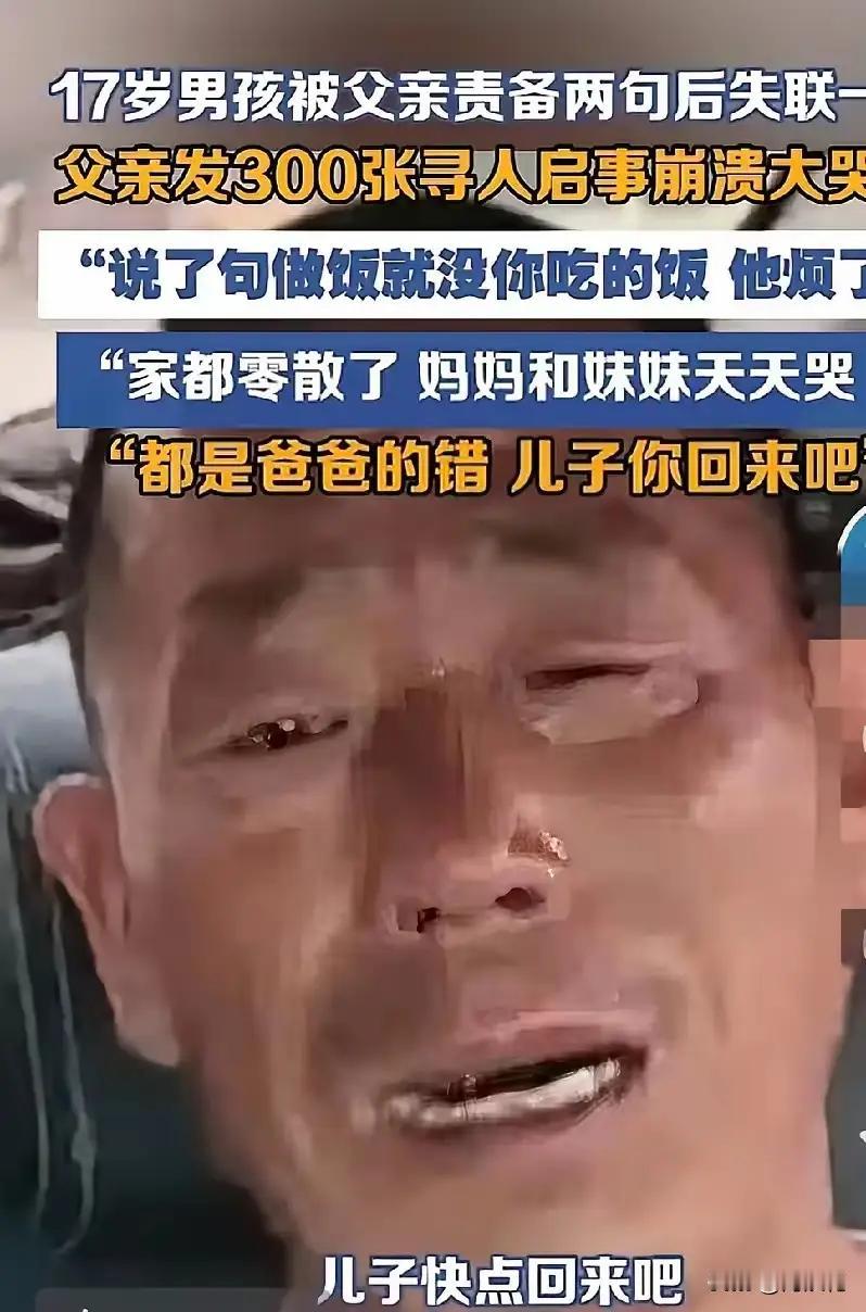 河南17岁那个男孩找到了，但是结果令人心碎，其父母及妹妹一度崩溃。

现在的孩子