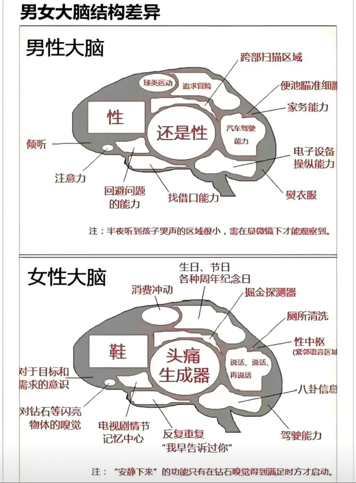 男女大脑结构差异 ​​​