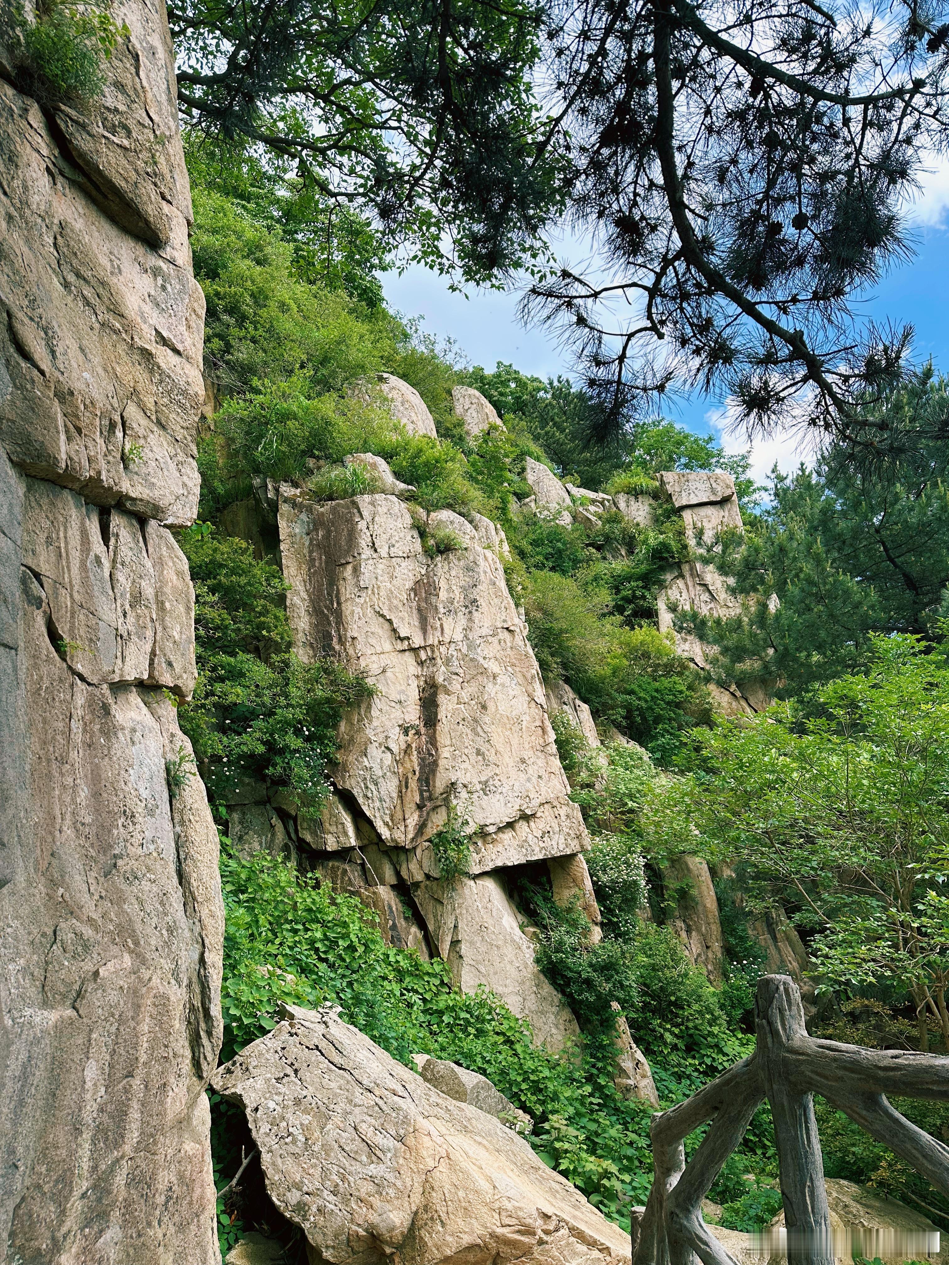 我要写一份2000字的报告手写2000字。我迟迟下不去笔呢写字手写字体 你们多久