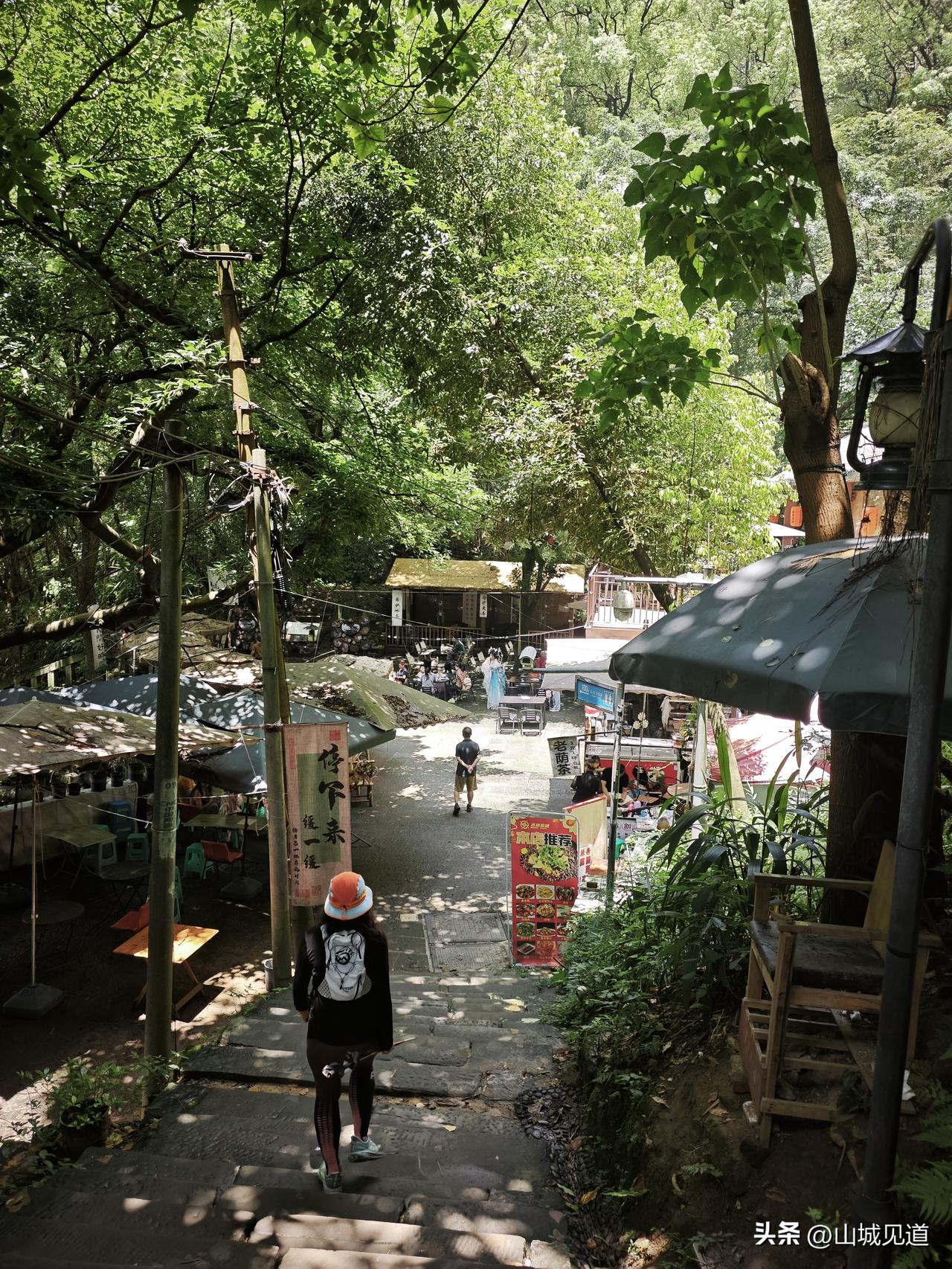 周末爬山，重庆南山。
一天门轨道上新街站起，清水溪步道上山到加勒比，经泉水鸡一条