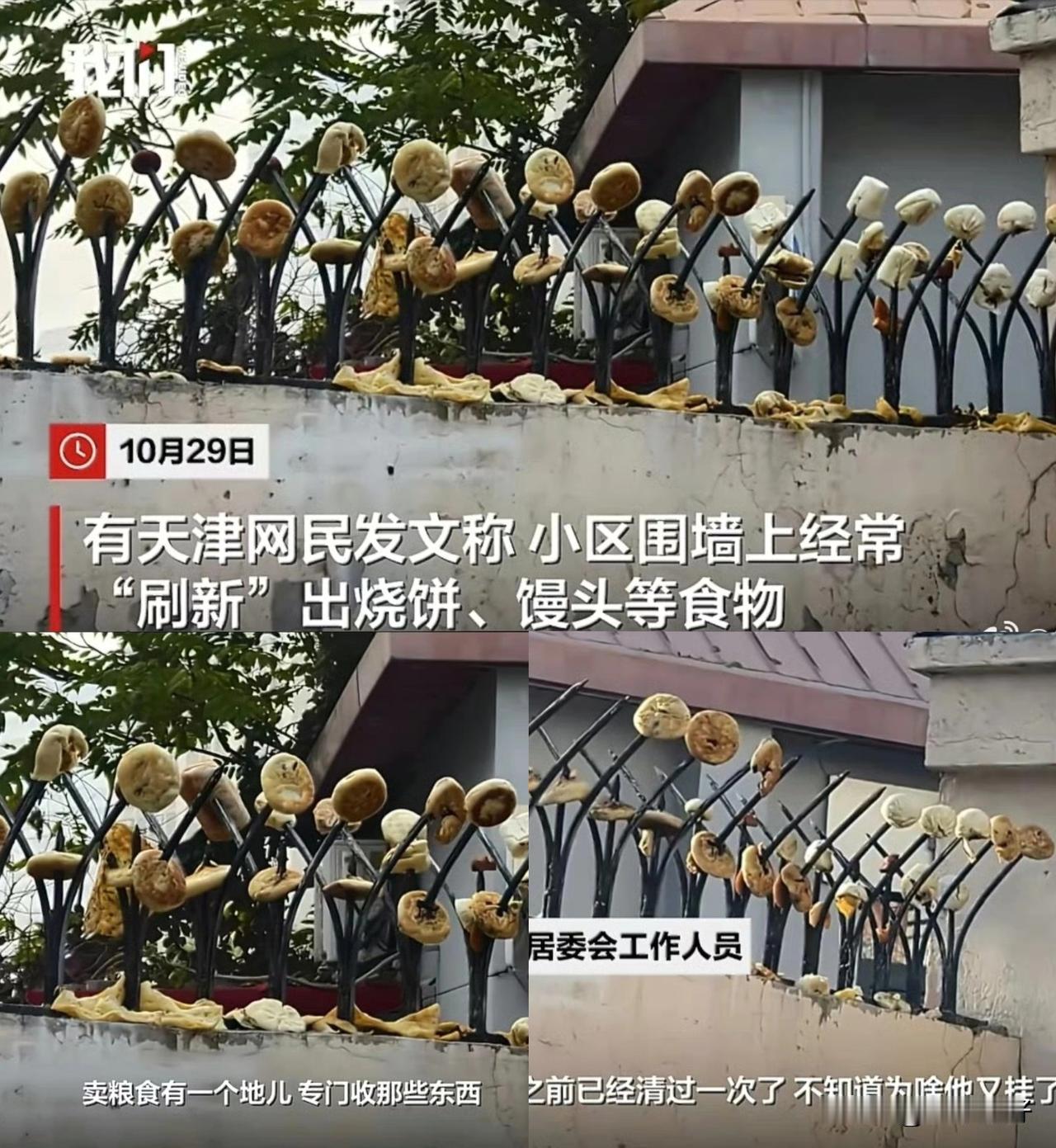 天津园荫里小区围墙上，防盗刺被密集插满烧饼、馒头等食物。据说是一位大爷从各处（包