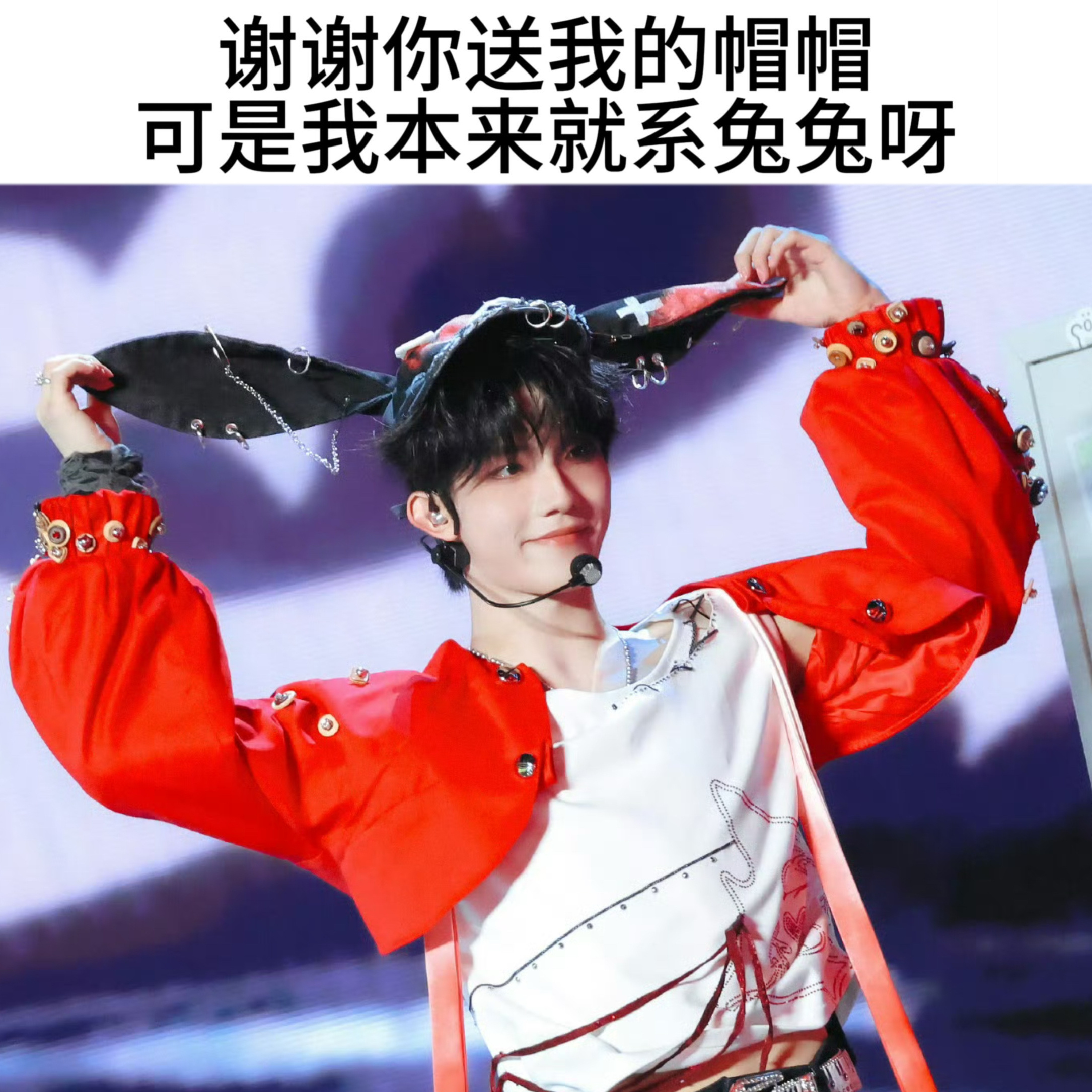 【11230】i love you兔！苏新皓 ​​​