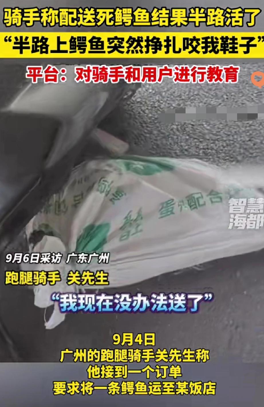 26元跑腿费，骑手接单送“死鳄鱼”，结果半路鳄鱼活了，还把骑手鞋子抓坏，差点“越