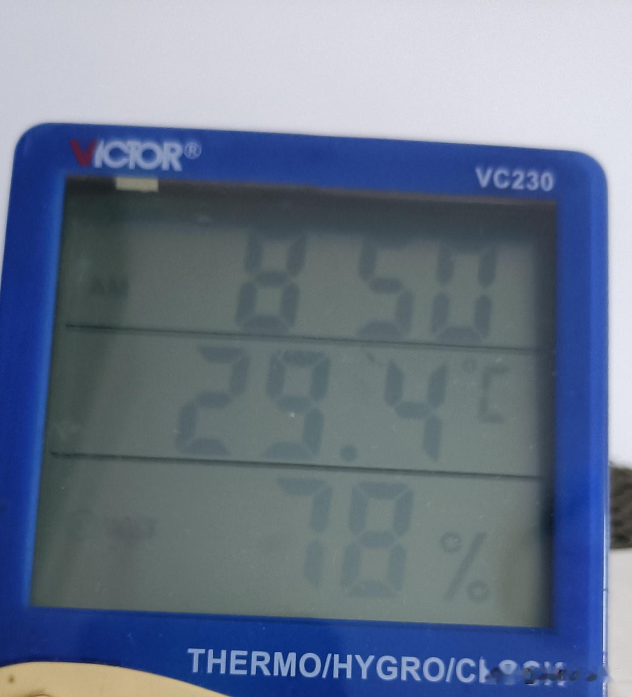 这马上进三伏天，热的要命啊，感觉不仅热，湿度也大，应该是跟前天下雨有关。

前天