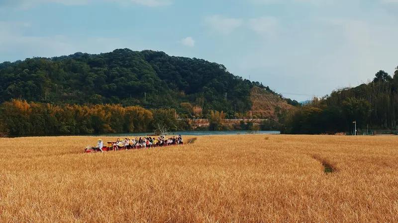 看到“春播千亩稻”这个上联，瞬间就有对下联的冲动。对联讲究前后呼应、对仗工整。时