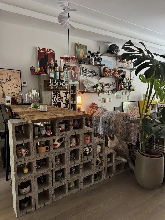 吧台角的日常｜家不基础，猫也不基础🐾
