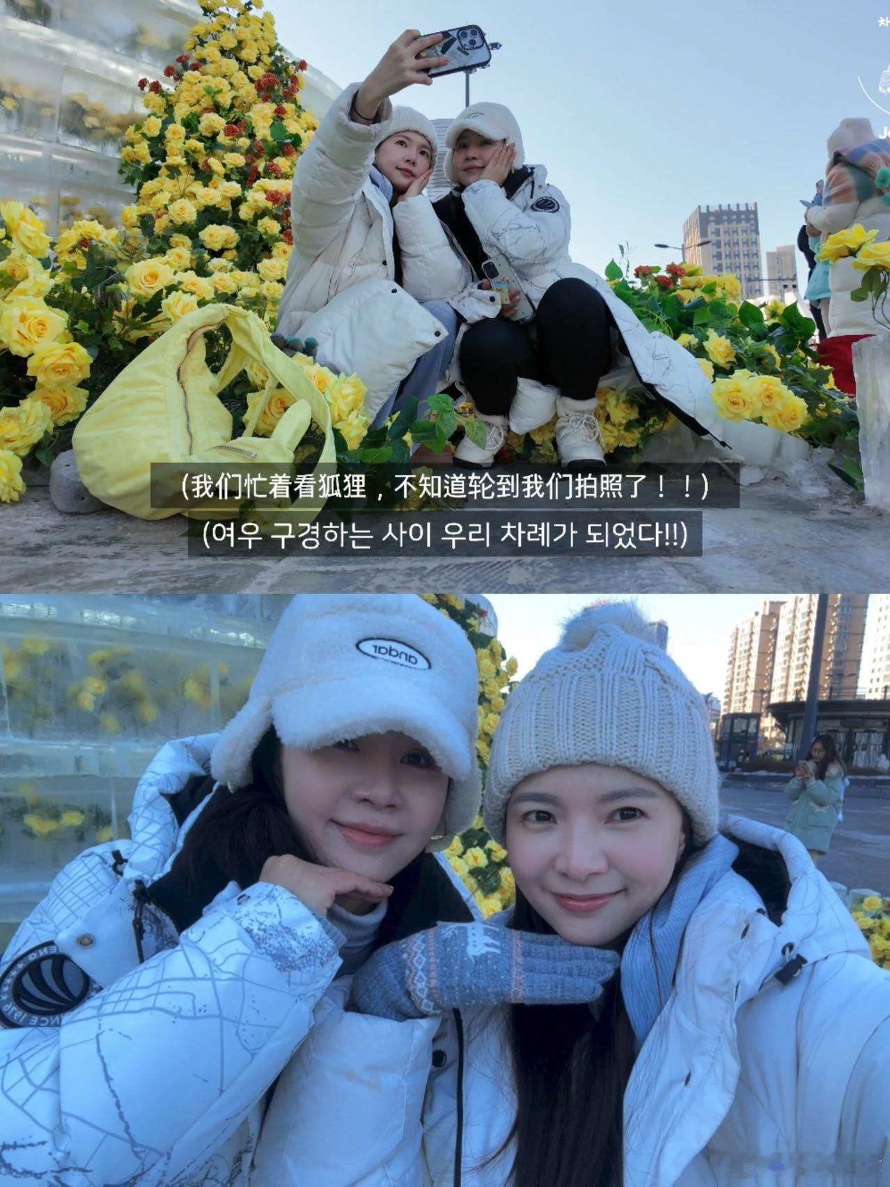 曹璐给韩国爱豆安利刘亦菲黄玫瑰 哈尔滨篇来了，哈哈哈哈哈又能看vlog喽 