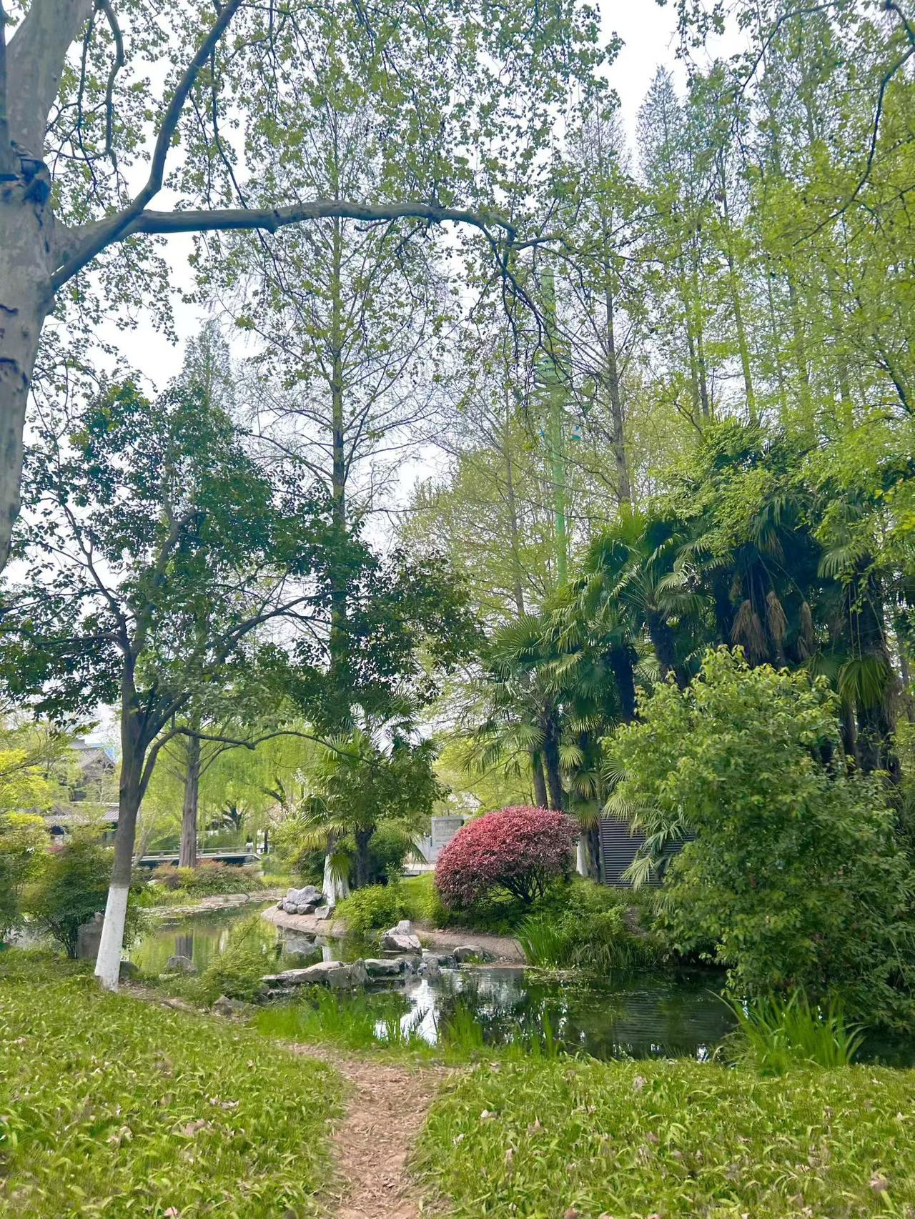 分享一张你手机里最近拍的风景照