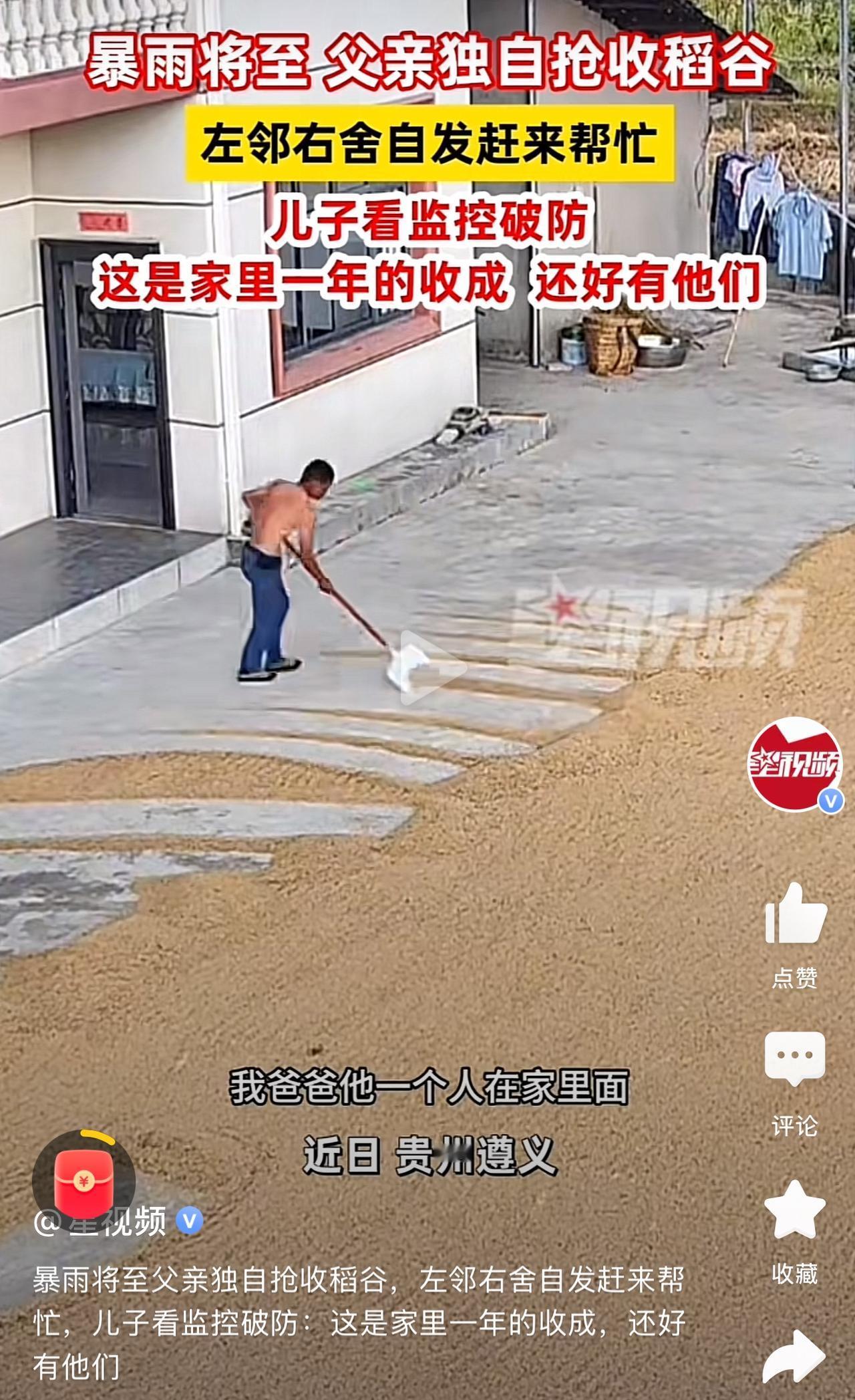 太感动了！暴雨将至，老父亲在家独自抢收稻谷，邻居们看到后纷纷加入，与“时间赛跑！