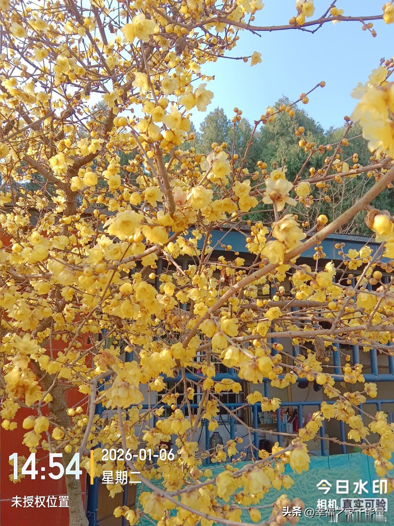 欧洲若出兵格陵兰岛能阻止美国吗 欧洲出兵格陵兰岛想阻止美国，难啊！2025 年底