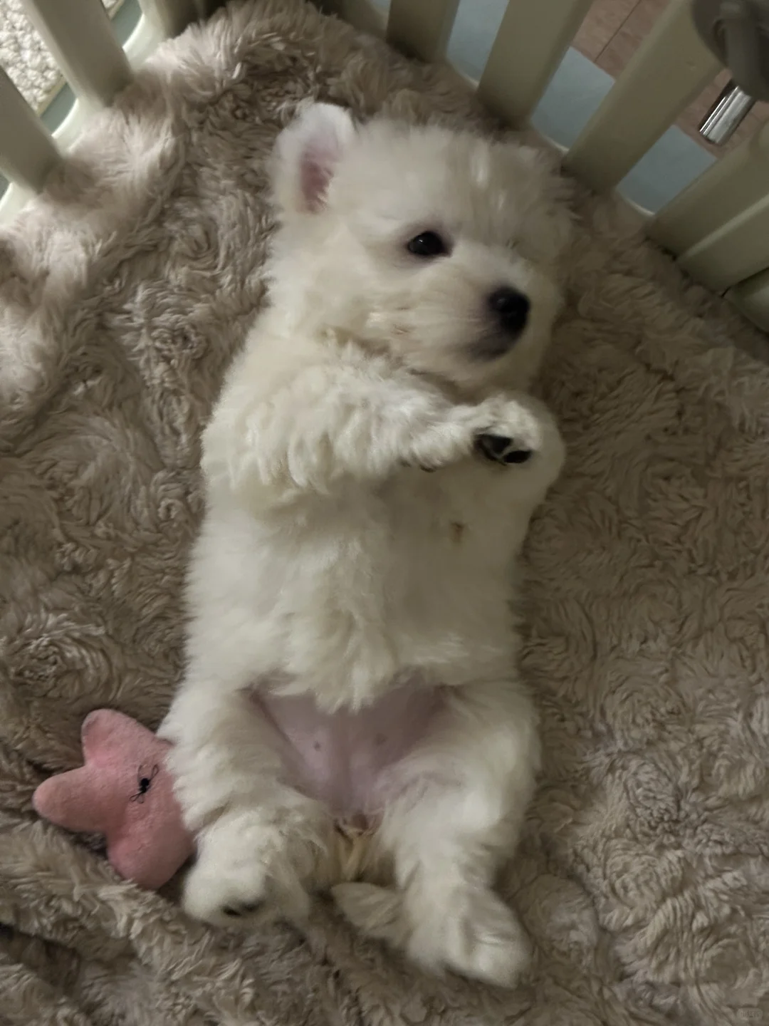 麻，我去美个容，把妹妹带回来了！