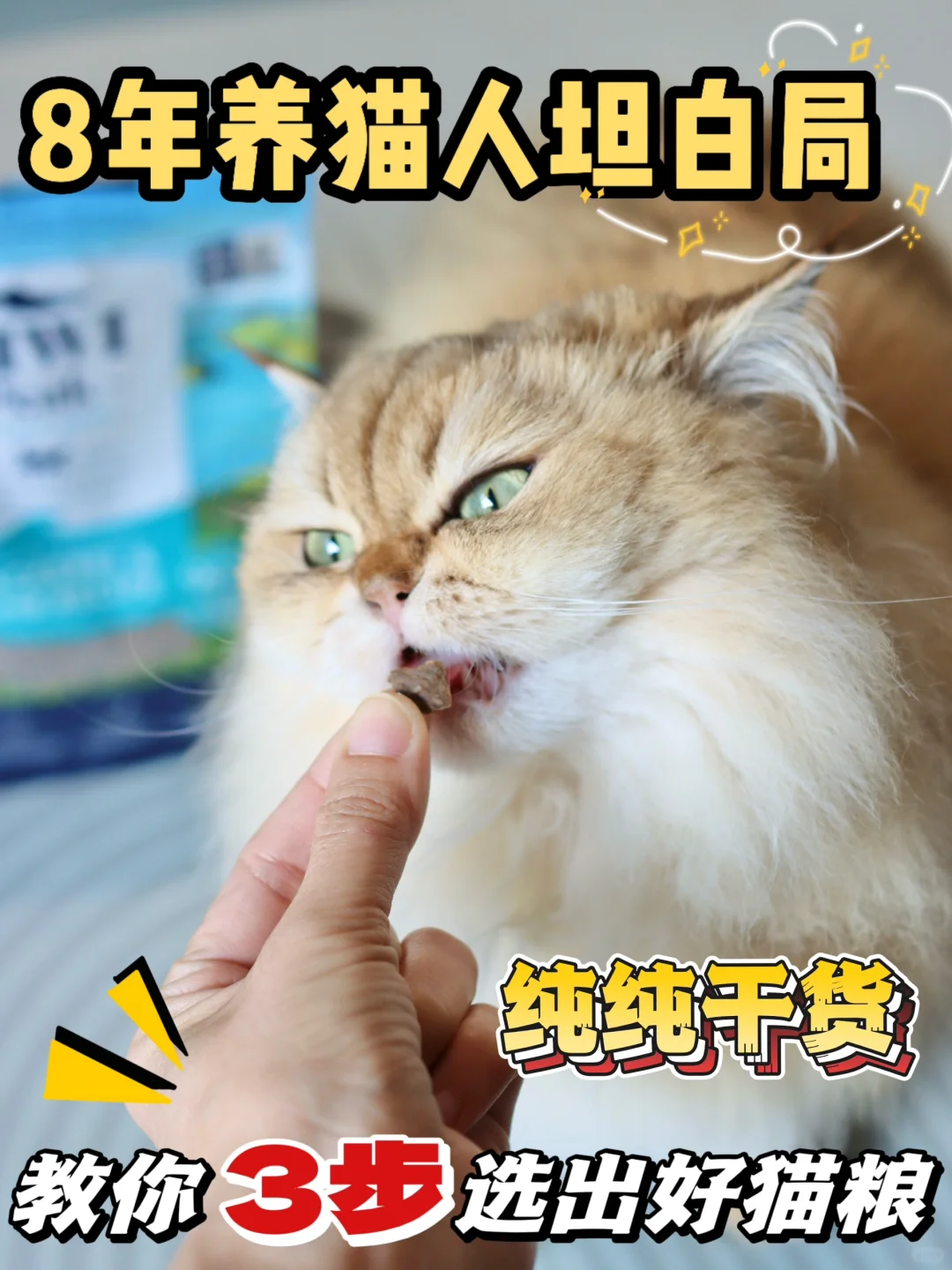 8年资深养猫人，手把手教你选到猫粮天花板