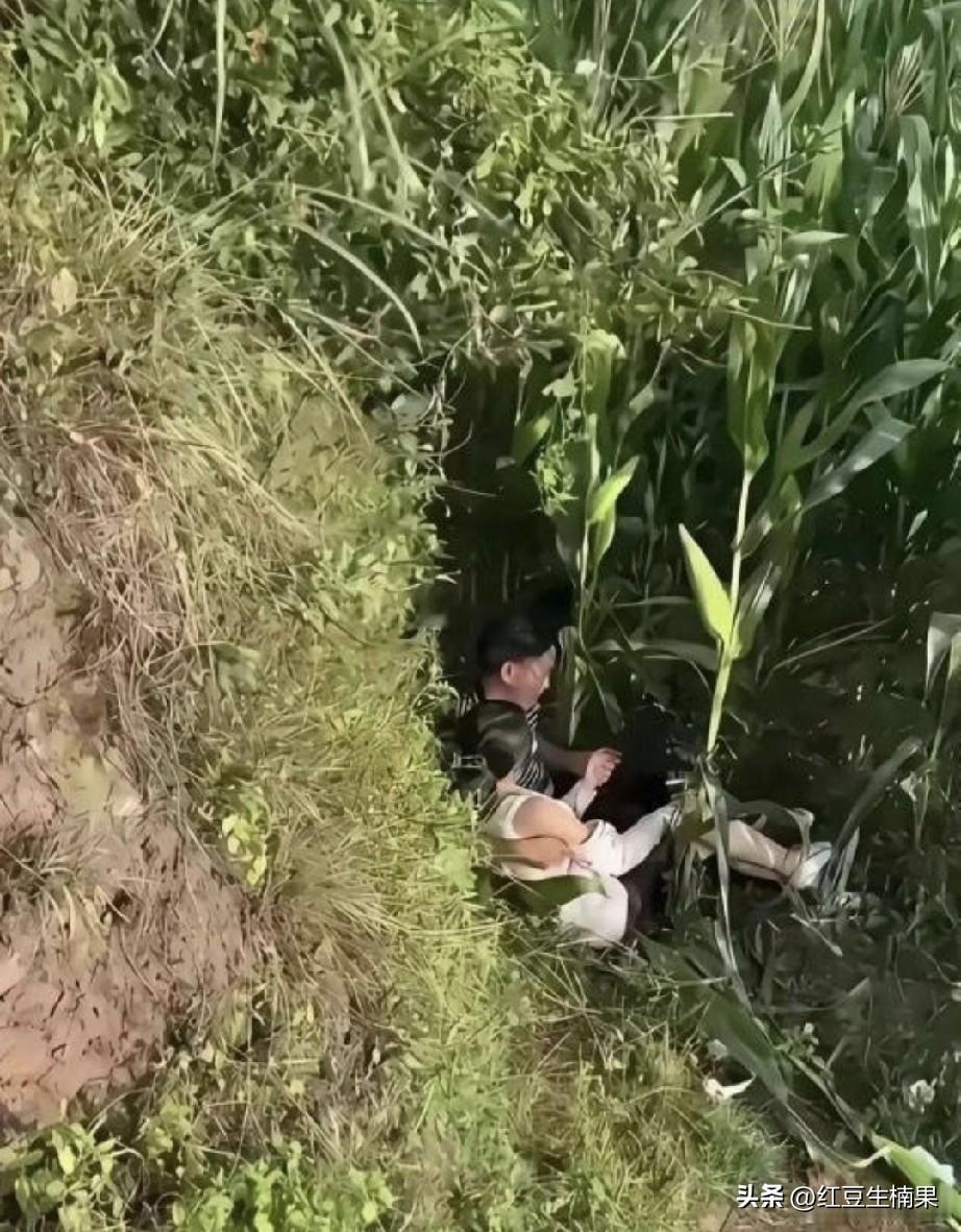 这位妹子还是离开这位大哥吧，太不懂怜香惜玉了，怎么能在玉米地里约会呢。
太寒酸了