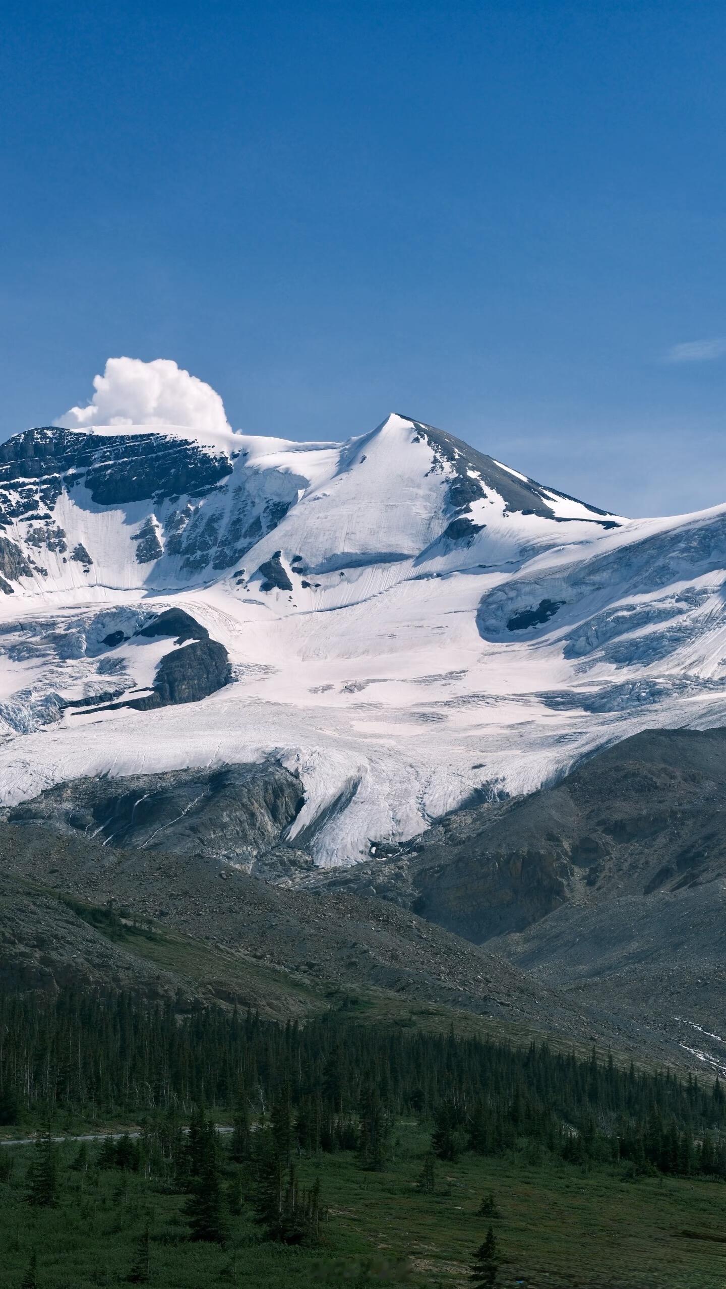 《爱情该怎么翻译》自存壁纸洗洗眼睛爱情怎么翻译‖ 