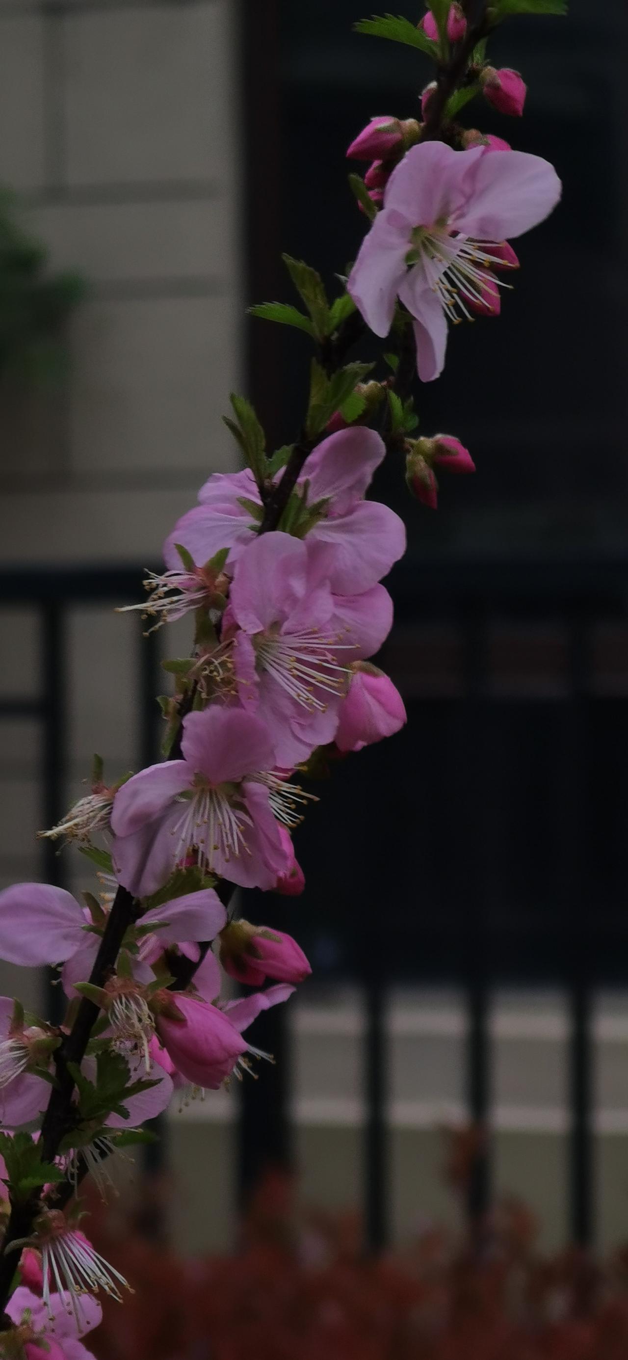 晚上，老公给我发来截图，我打开一看，原来是个人所得税退了7000多元，开心啊！