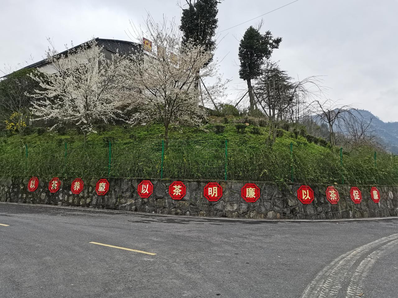 先说这上联“狂风掀巨浪”，那气势磅礴，有种万马奔腾的感觉。我对个下联“骤雨打繁花