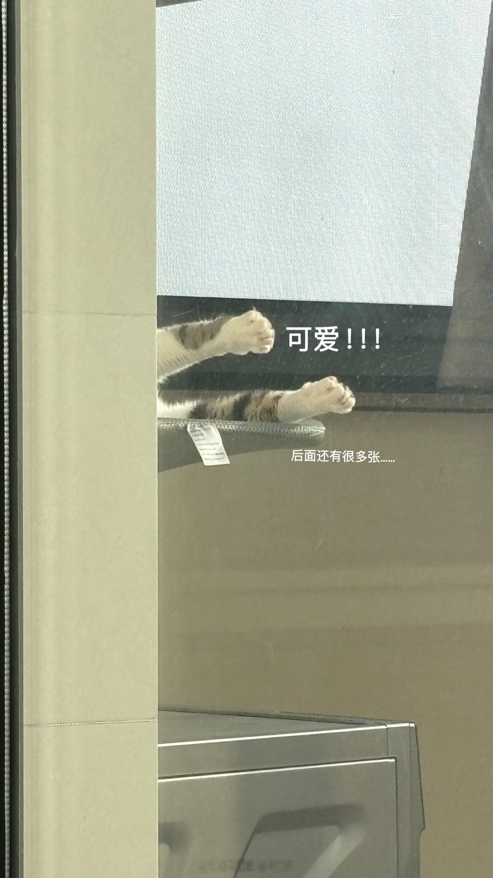 plog今天放了大量萌图，实在太想分享！ 