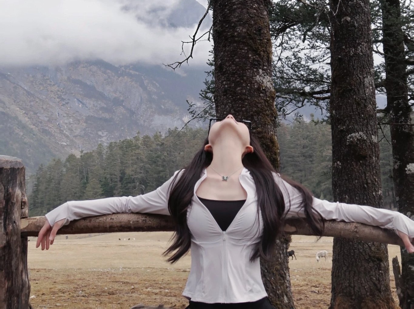 3月16日，马斯克在X上转发并点赞了中国AI公司月之暗面旗下Kimi团队的一项新