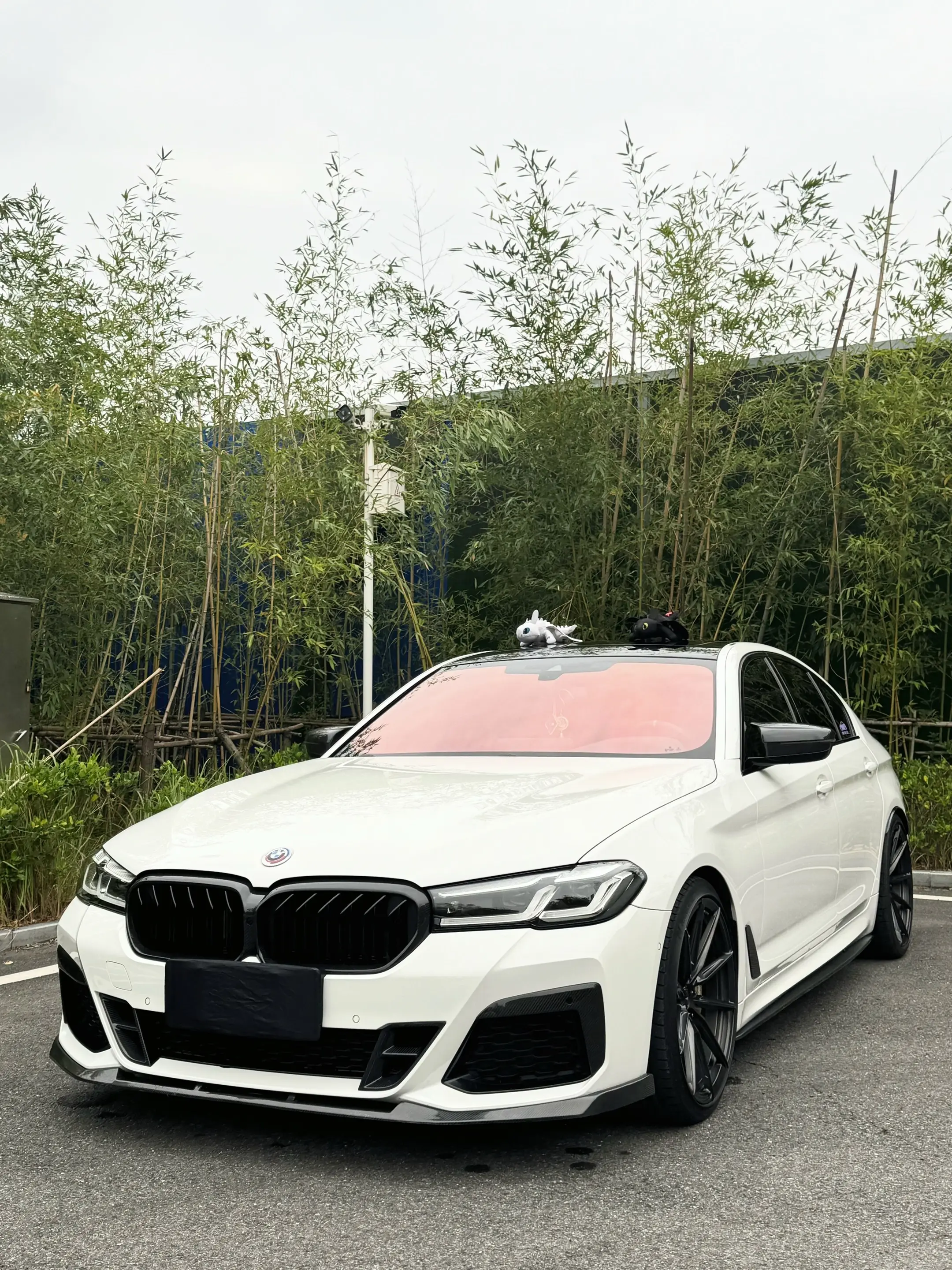 人生第一台后驱车 宝马五系