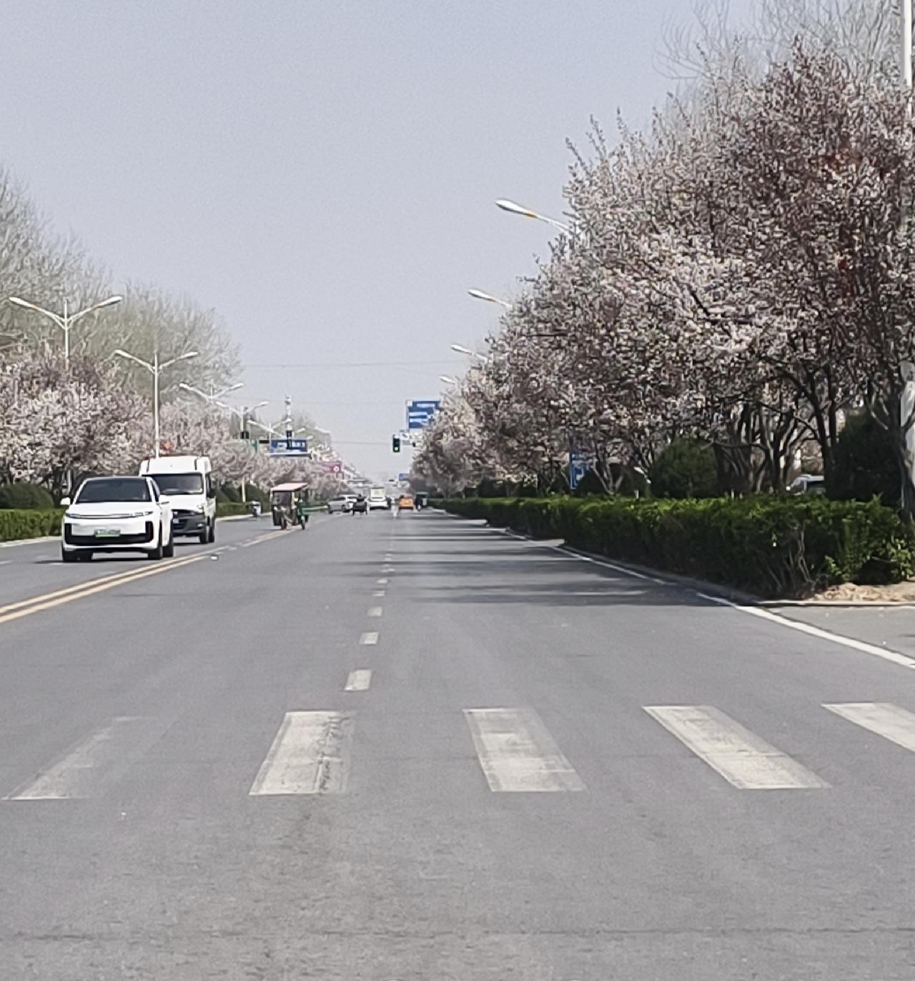 雨中的产房与床头的零食：二宝藏在时光里的温柔，是妈妈最暖的救赎
       那