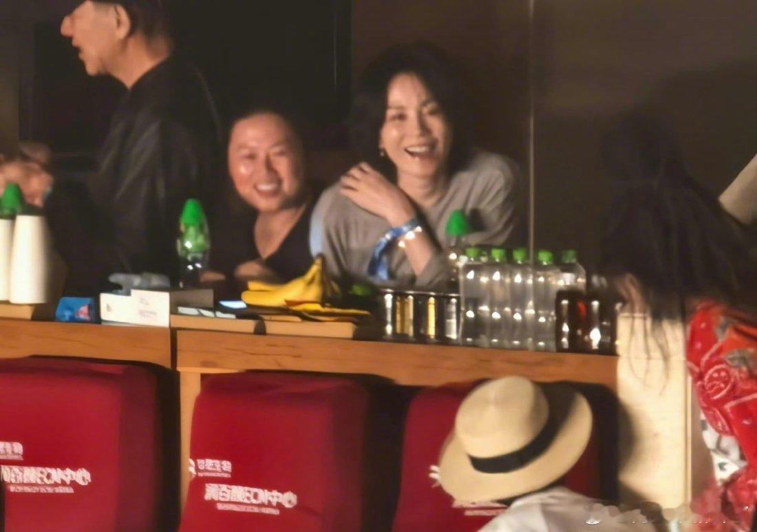 王菲去看了那英演唱会还得是那姐啊，听说这次包厢全是明星呀，还有谁你们知道吗？王菲