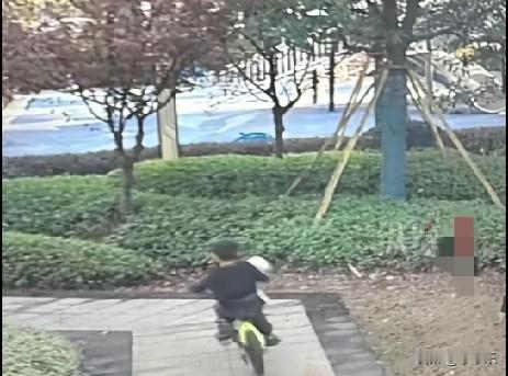 近日，浙江温州的一女子外出遛狗，一8岁小男孩在女子不注意时把2岁大的白色泰迪偷走