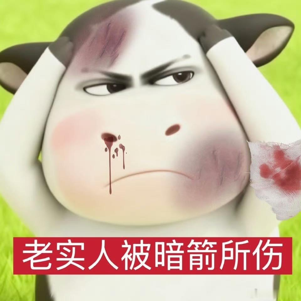 空尼几哇 我等着看下一个地方xa的咋样