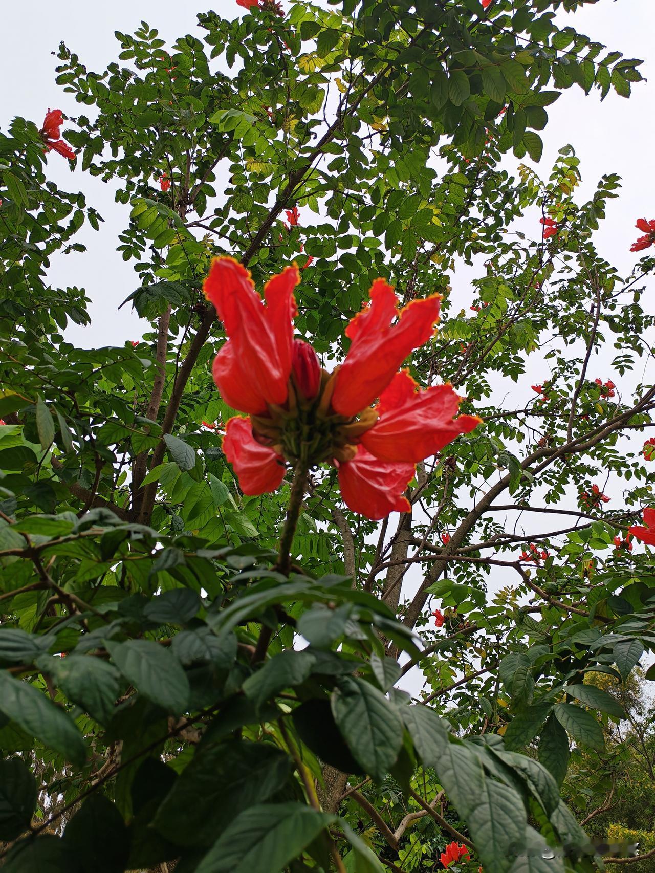 是不是又瘦了，今天下机体重47，竟然没抽筋，也没感觉很累，下次按47看看。
  