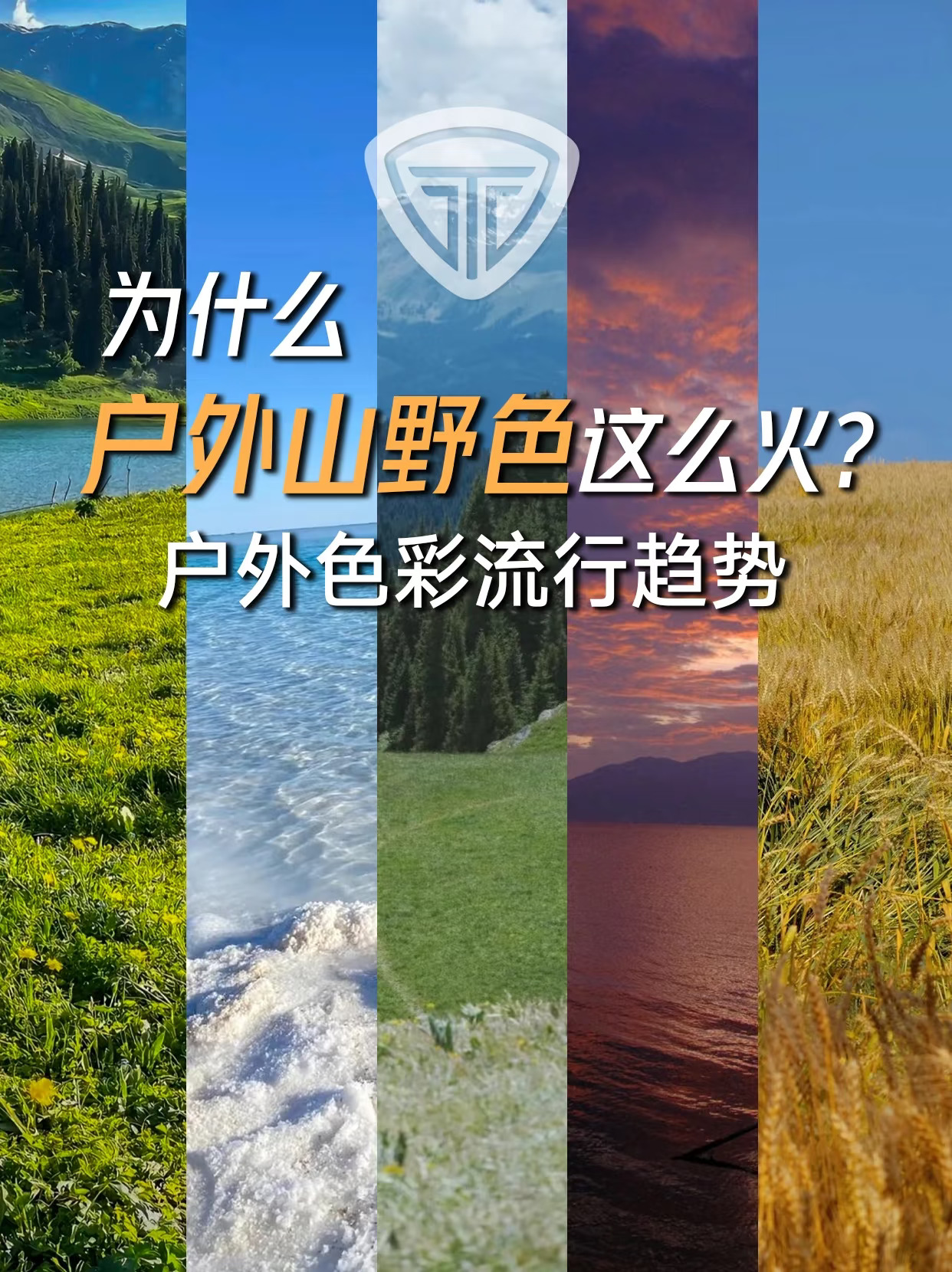 为什么2025户外山野色这么火？