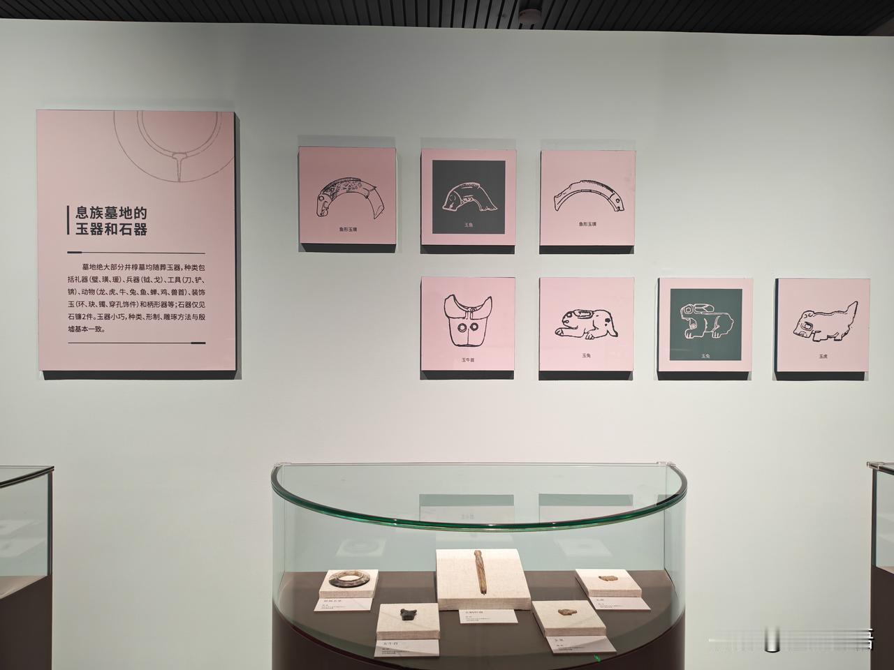 南土有息·信阳罗山天湖息国墓地特展（四）