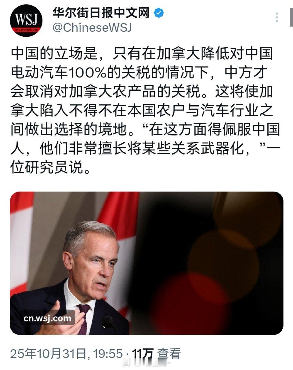 加拿大研究员那句“佩服中国人武器化关系”喊得——活像哑巴吃黄连，有苦说不出！先下