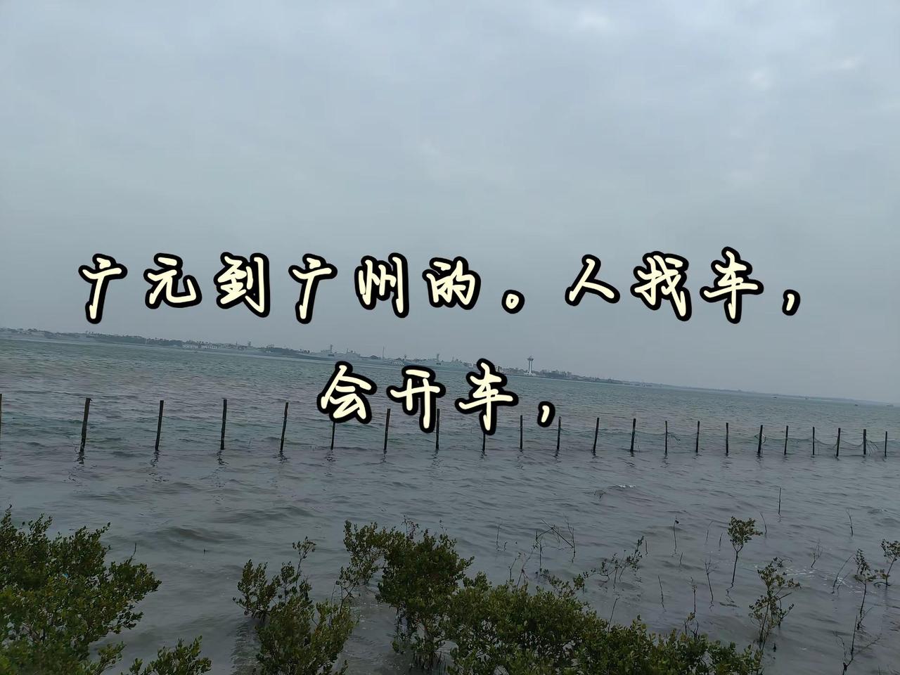 人找车，求粑粑给个机会！