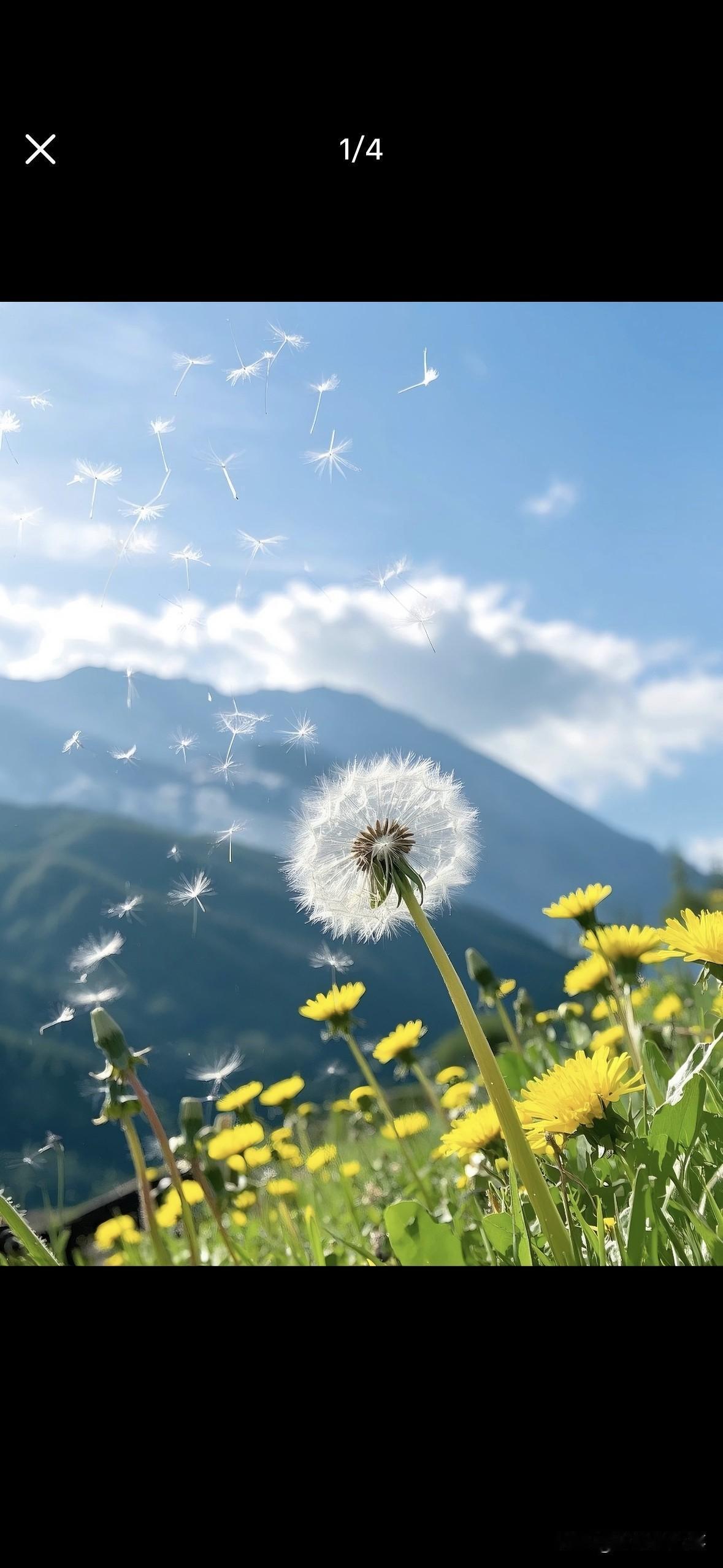 告诉你一个秘密：从今天起，你的好日子，真的开始了。

这不是祝福，是通知。

或