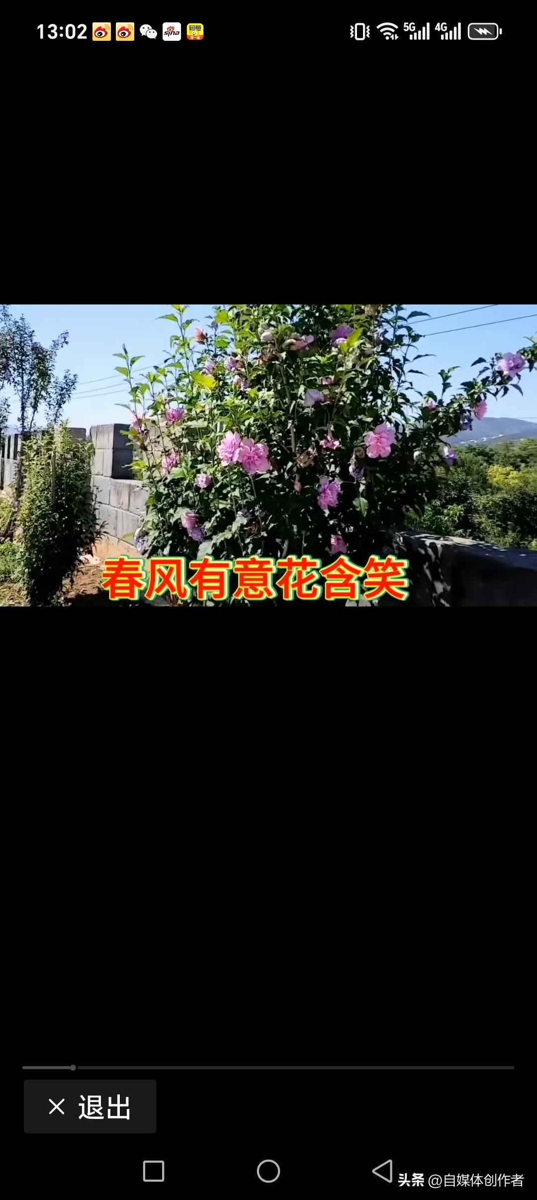 春风有意花含笑
秋雨无意叶飘零