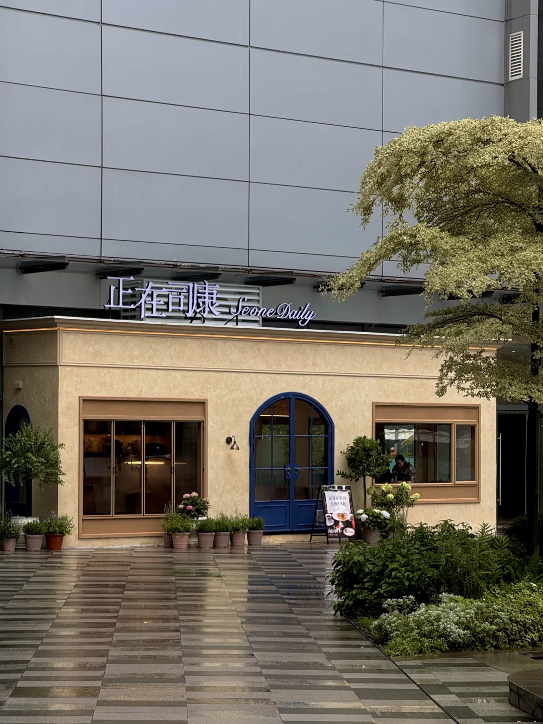 广州新的！番禺天河城！正在司康！