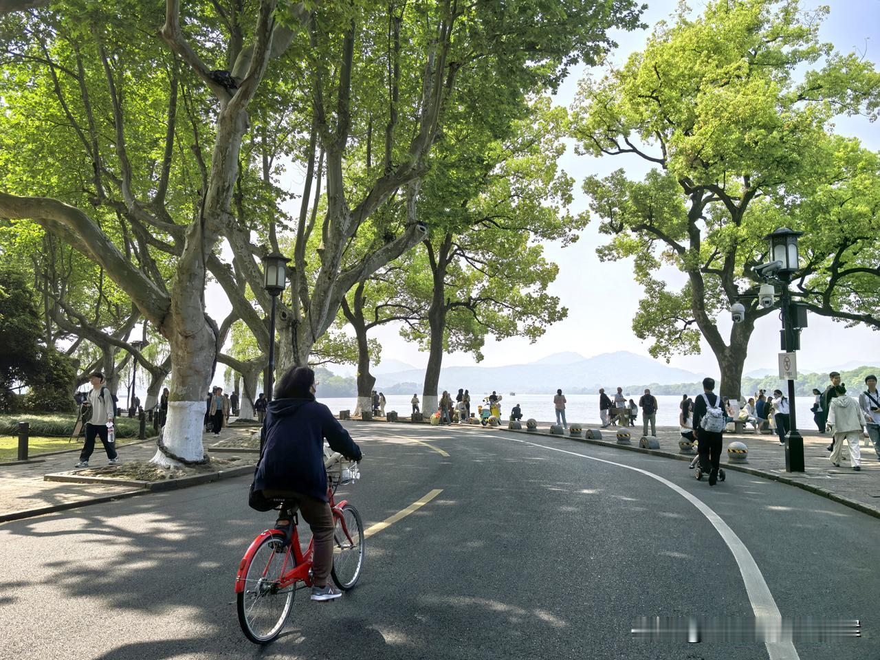 西湖，不止湖水秀美，就连沿途的路，都走得步步有景、处处有意境。