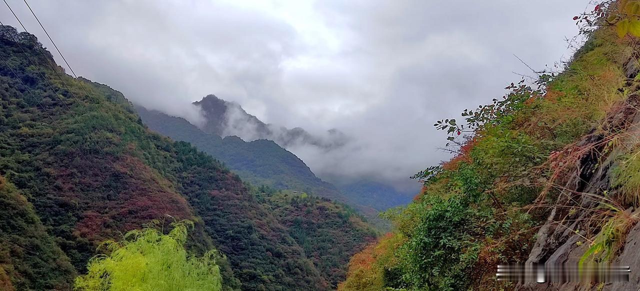 山色青青翠欲流，云霞缭绕似仙境。汉中秦岭大山里的望穿秋水。