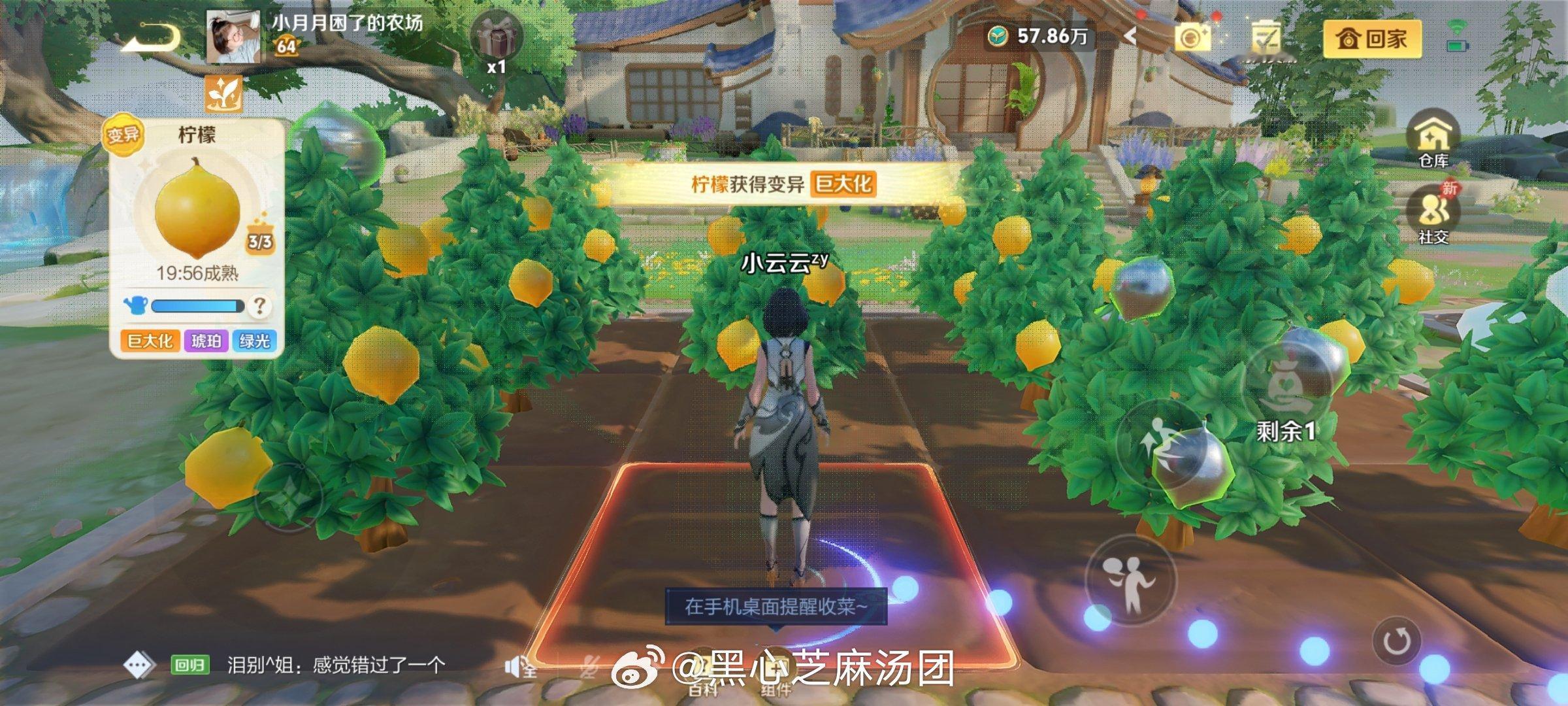 美了美了还好种柠檬了第二轮翻倍俩30哎呀[么么哒] ​​​